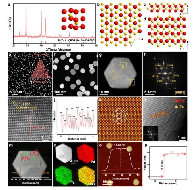 黃小青/邵琪JACS：Pd-Te六方納米片的連續(xù)相調(diào)控，助力揭示晶相結(jié)構(gòu)-性能的直接關(guān)系
