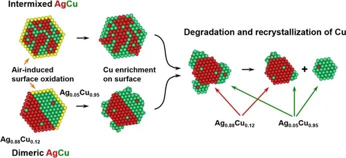 楊培東院士，最新JACS！