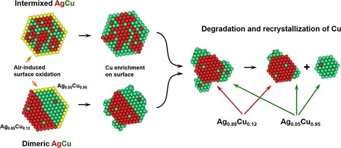 楊培東院士，最新JACS！
