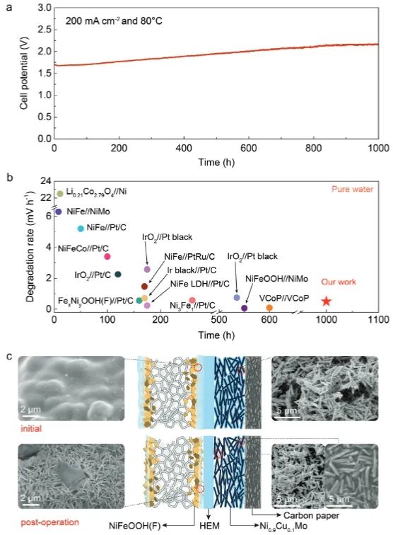 ?華科/特拉華AFM: Cu調(diào)制Ni-Mo陰極d帶中心，加速H解吸以促進(jìn)HER反應(yīng)