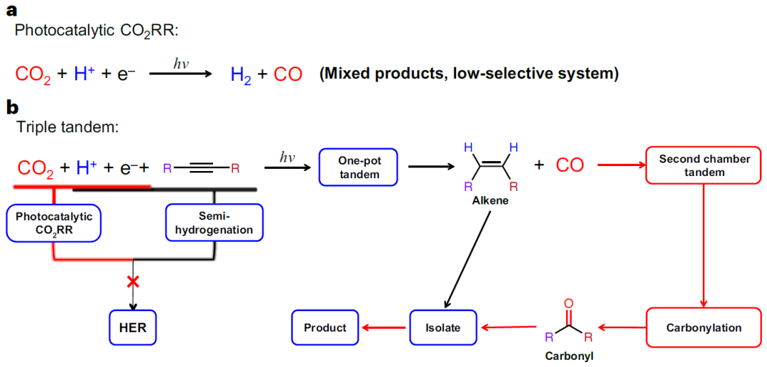 這所大學(xué)，迎來(lái)首篇Nature Synthesis！