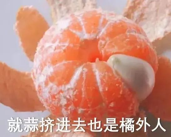 為什么博導(dǎo)都希望，自己的博士生畢業(yè)也去高校當(dāng)老師？