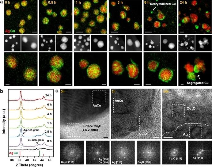 楊培東院士，最新JACS！