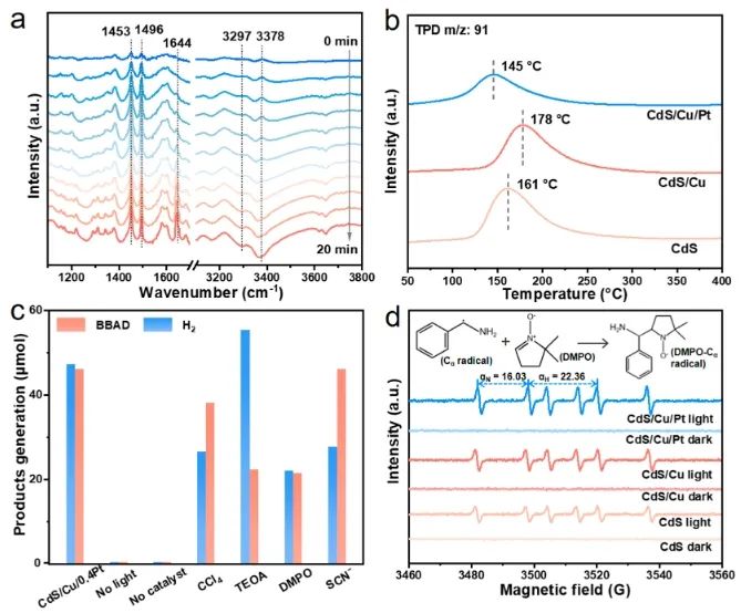 福州大學(xué)ACS Catalysis：CdS納米片上構(gòu)建Cu-Pt電子轉(zhuǎn)移通道，用于選擇性合成亞胺
