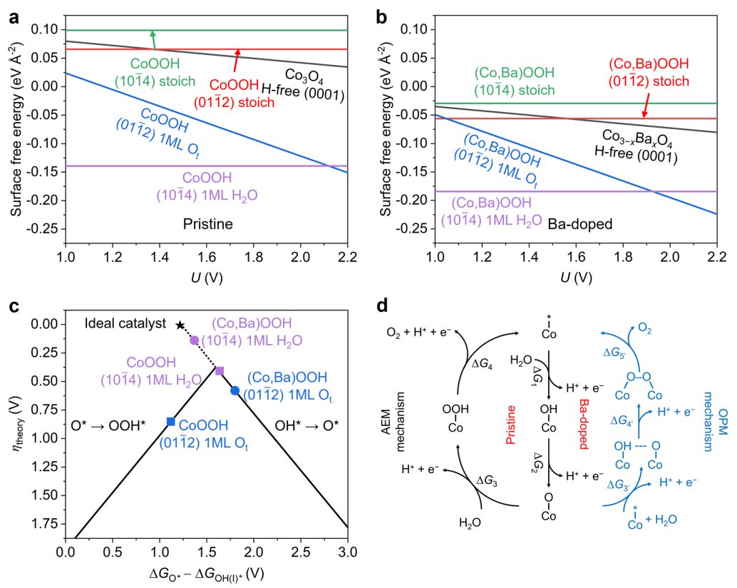 超燃！他，今日發(fā)表第16篇Nature Catalysis，第36篇JACS！