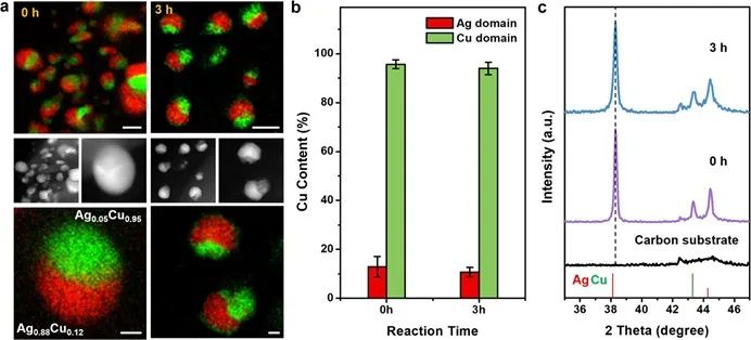 楊培東院士，最新JACS！