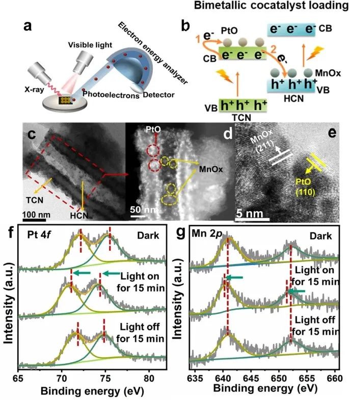 向全軍/喬梁/呂康樂，最新Nature子刊！