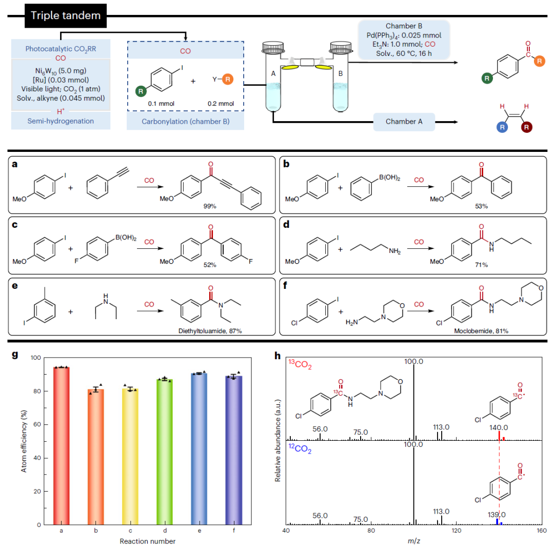 這所大學(xué)，迎來(lái)首篇Nature Synthesis！