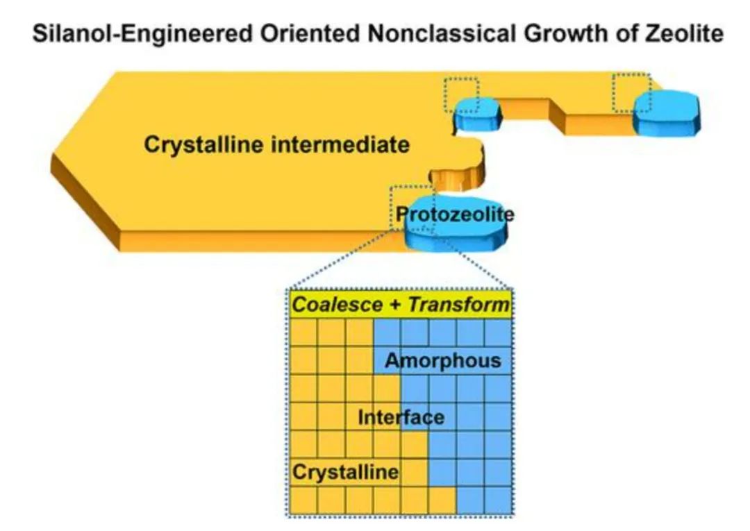 牛！Science+8篇JACS/Angew！吉林大學(xué)于吉紅院士2023年優(yōu)秀成果精選！