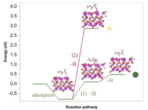 王敏/蘆天亮ACS Catalysis：Bi2MoO6中引入亞表面Mo空位，促進(jìn)光催化乳酸氧化為丙酮酸