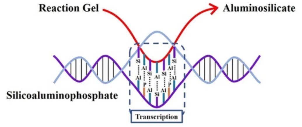 牛！Science+8篇JACS/Angew！吉林大學(xué)于吉紅院士2023年優(yōu)秀成果精選！