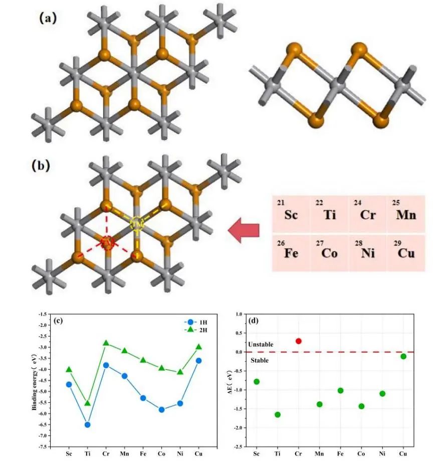 【純計(jì)算】Appl. Surf. Sci.：過(guò)渡金屬單原子錨定VTe2用于高效的整體水分裂和析氧反應(yīng)