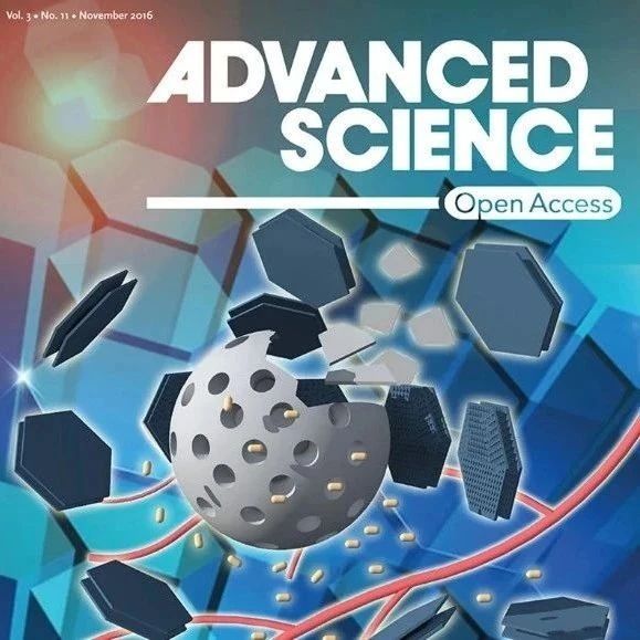 吳明鉑/趙青山Advanced Science：鹽效應(yīng)誘導(dǎo)策略立大功，構(gòu)建Fe-N2P2-Cl位點(diǎn)來(lái)有效促進(jìn)ORR