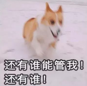 吐槽導(dǎo)師的，為什么總是理工科研究生？