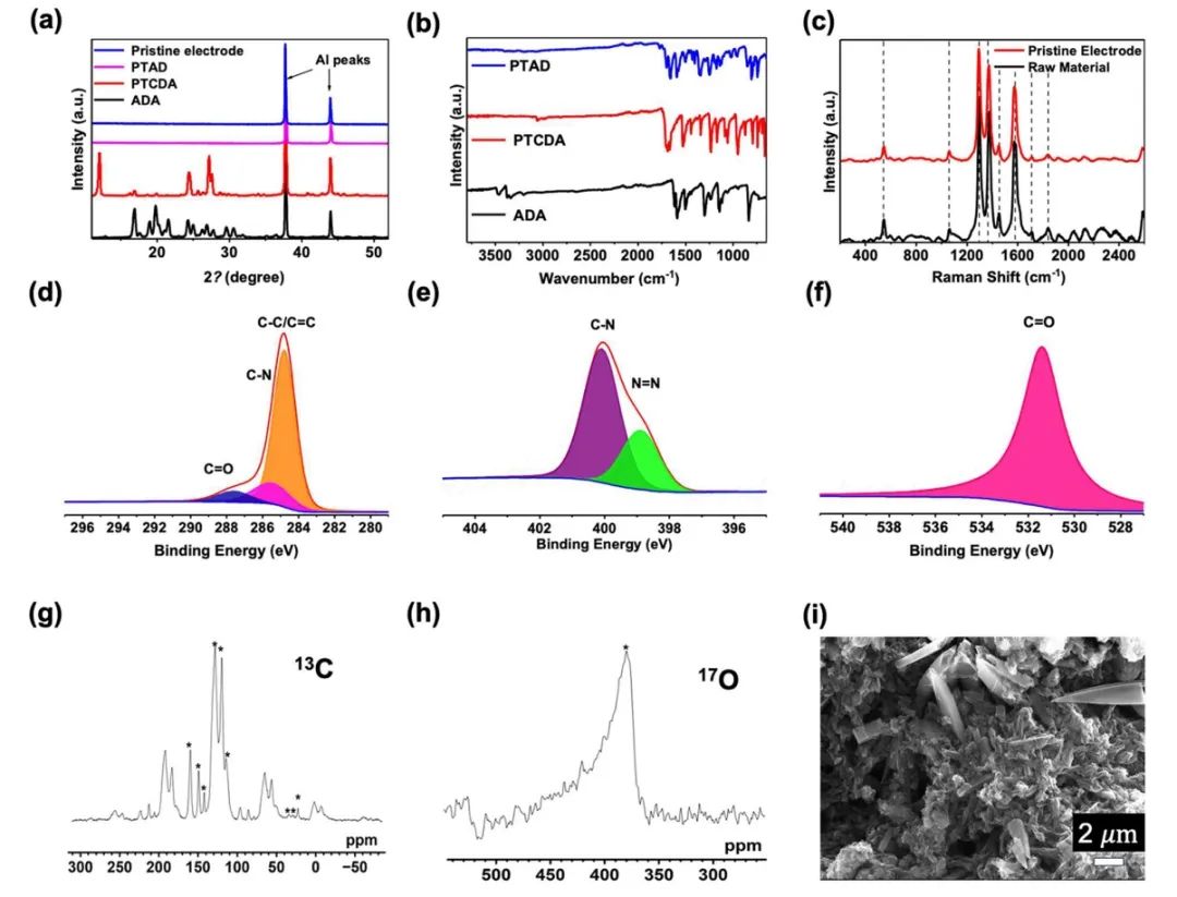 ?邁阿密大學(xué)ACS Nano：羰基和偶氮基聚合物正極用于低溫鈉離子電池