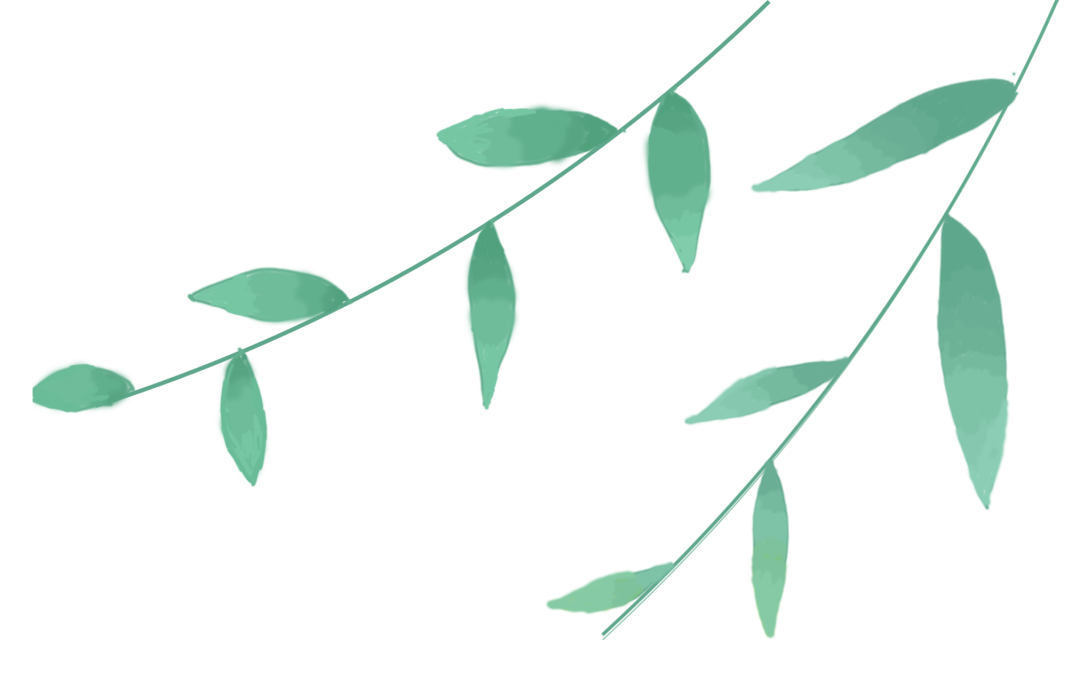 PNAS | 吉林大學(xué)王洪波教授在單質(zhì)鈦中發(fā)現(xiàn)反常金屬態(tài)