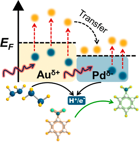 廈門大學(xué)ACS Catalysis: 位點(diǎn)選擇性雙金屬異質(zhì)納米結(jié)構(gòu)，實(shí)現(xiàn)高效光催化硝基苯加氫反應(yīng)