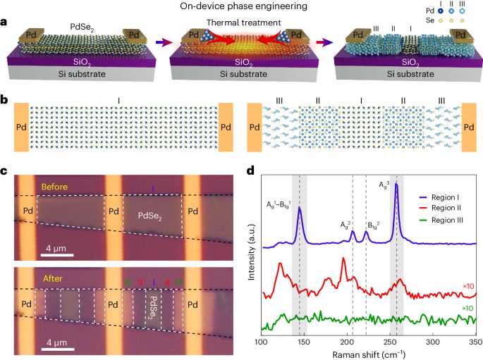 南京大學，最新Nature Materials！