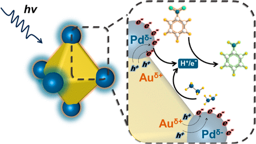 廈門大學(xué)ACS Catalysis: 位點(diǎn)選擇性雙金屬異質(zhì)納米結(jié)構(gòu)，實(shí)現(xiàn)高效光催化硝基苯加氫反應(yīng)