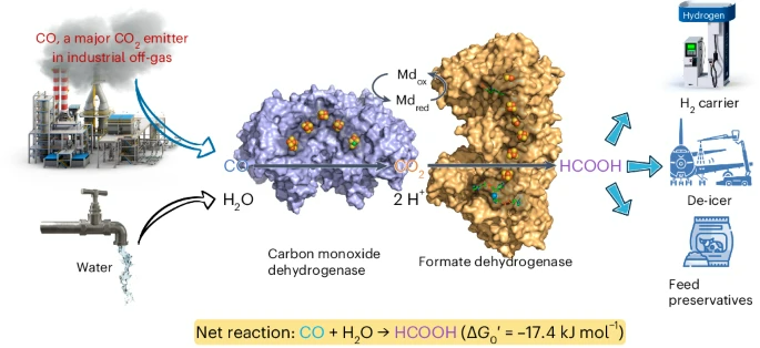 Nature Chemical Engineering：100%選擇性，工業(yè)廢氣合成摩爾級(jí)甲酸鹽！