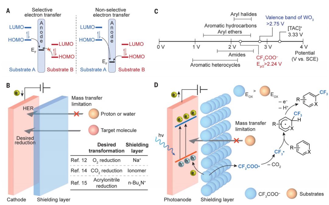 時隔四年，浙江大學莫一鳴再發(fā)Science！