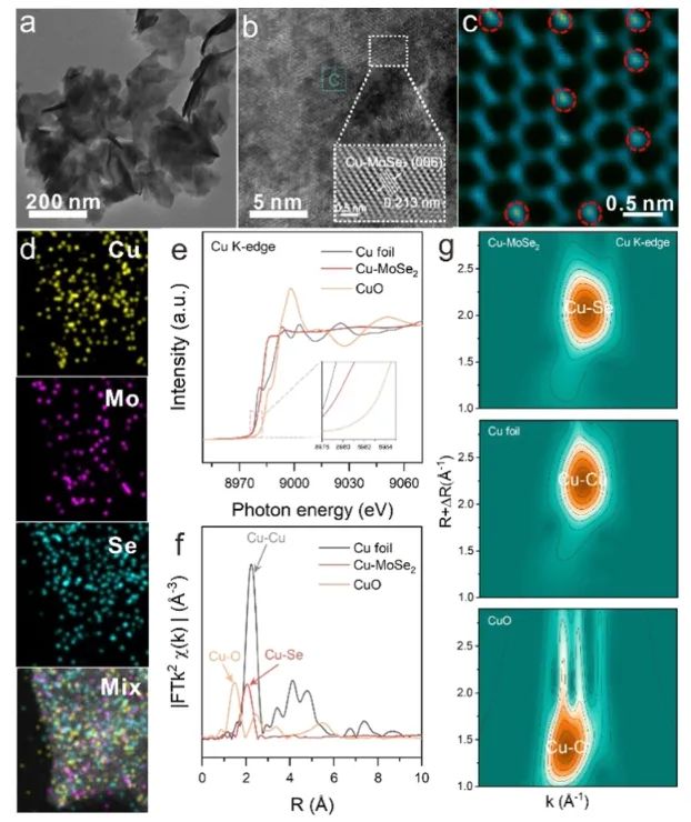 ?安師大/昆士蘭科大/河大ACS Nano: 構(gòu)建Cu-Mo雙中心，增強(qiáng)NO3?與CO2電還原為尿素