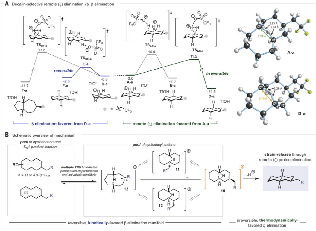 牛！他，今年首篇Nature之后，再發(fā)第二篇Science！已手握3篇正刊！