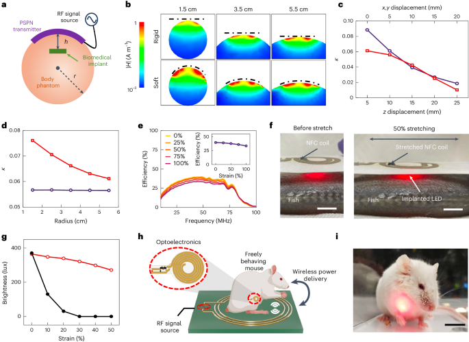 Nature Nanotechnology：無線供電、600%應(yīng)變穩(wěn)定電導(dǎo)，多孔納米材料電子設(shè)備