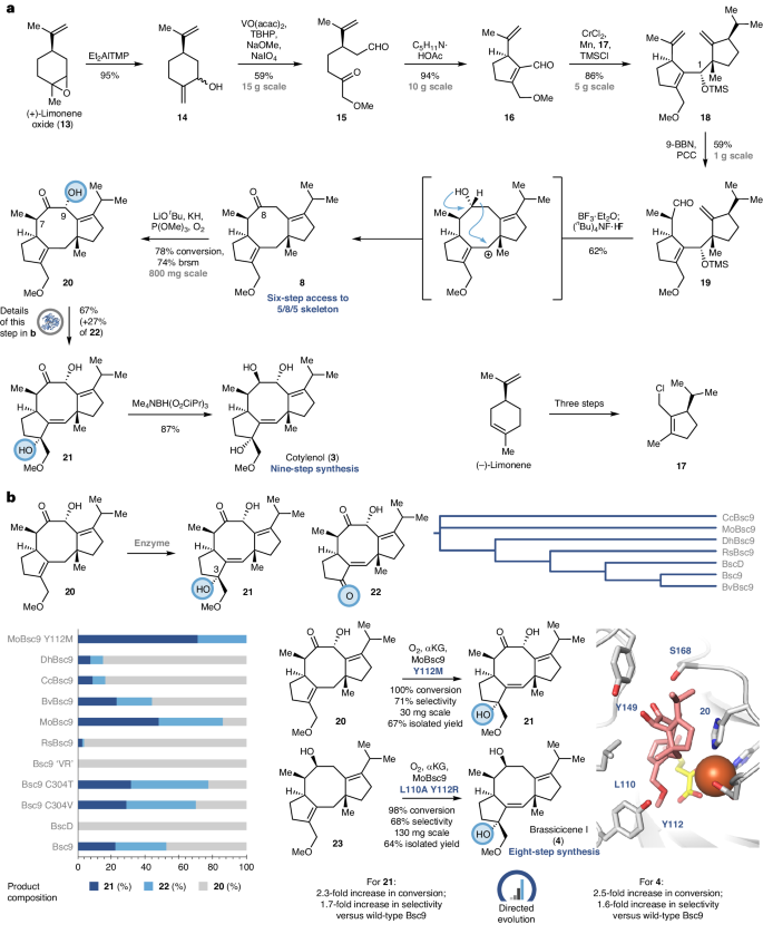 兩個作者，一篇Nature Chemistry！