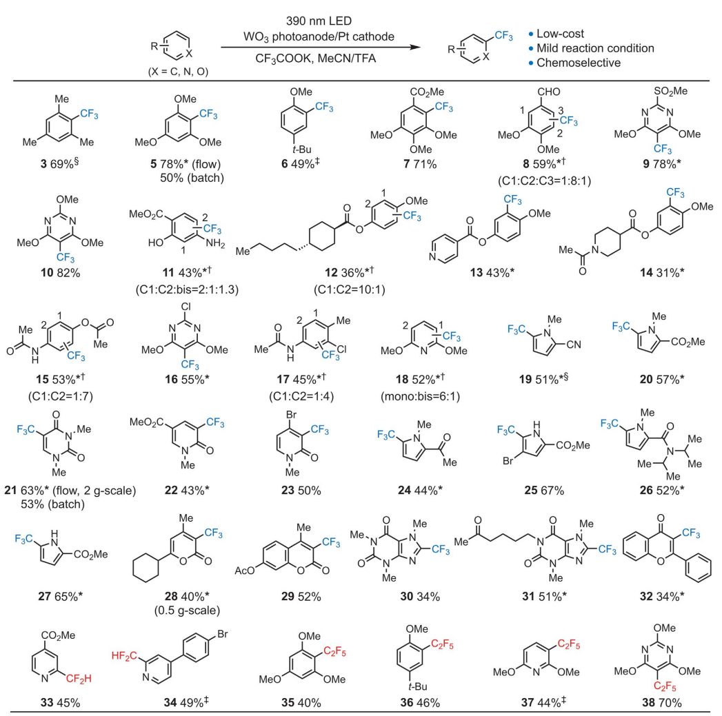 時隔四年，浙江大學莫一鳴再發(fā)Science！