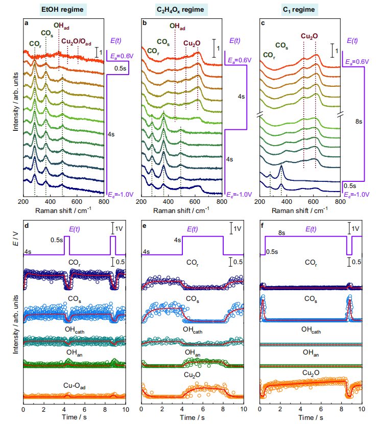 最新Nature子刊：SERS探究脈沖CO2電還原機(jī)理！