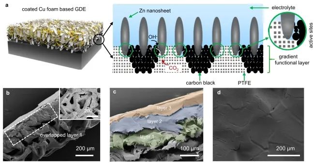 武漢大學Nature子刊：氫氧化耦合CO2電還原，可有效降低能量損失