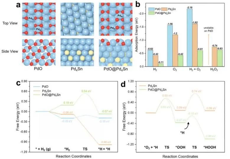 熊海峰/黃小青/林森Nature子刊：PdSn納米線上層狀Pd氧化物促進直接H2O2合成