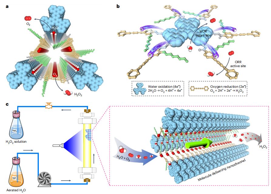 COFs大咖！新加坡國立江東林最新Nature Synthesis！
