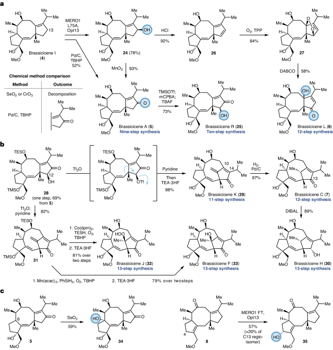兩個作者，一篇Nature Chemistry！