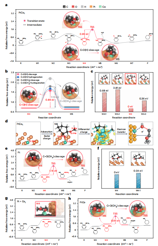 韓布興院士，最新Nature Catalysis！「國家優(yōu)青」孟慶磊共同通訊！