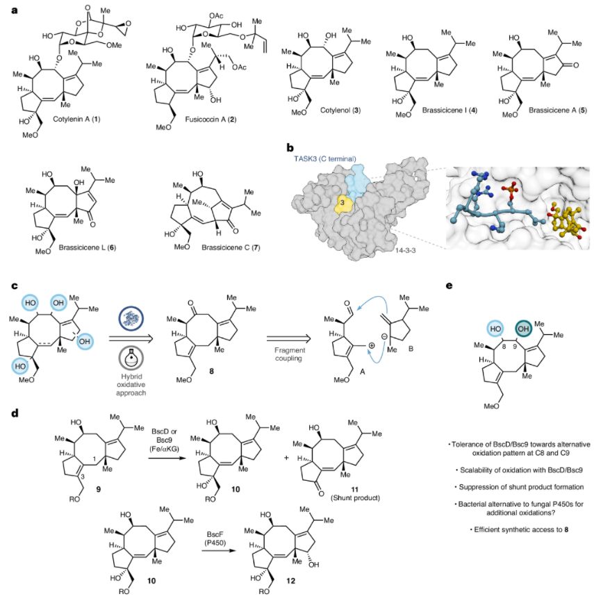 兩個作者，一篇Nature Chemistry！
