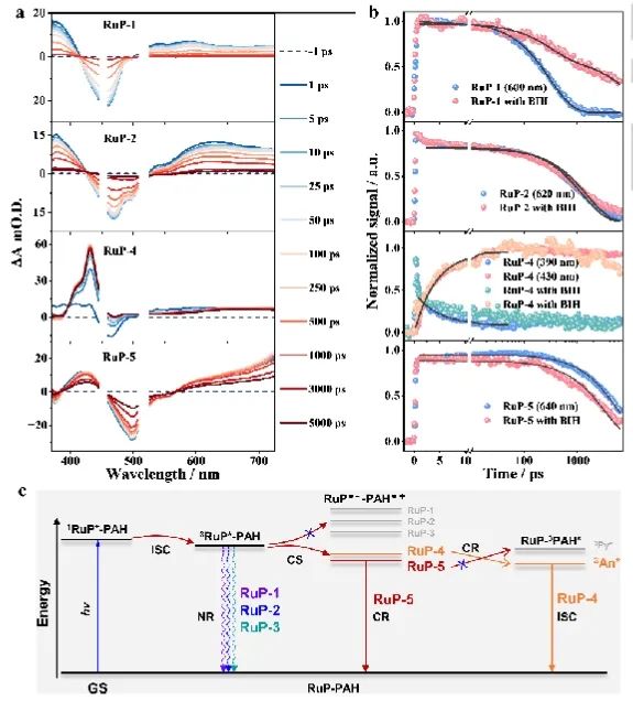 ?大化所/華僑大學Angew: 調控單核Ru(II)配合物三重態(tài)，增強光催化性能