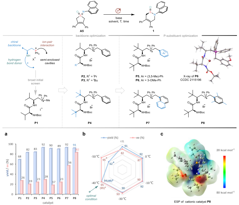 四川大學，最新Nature子刊！