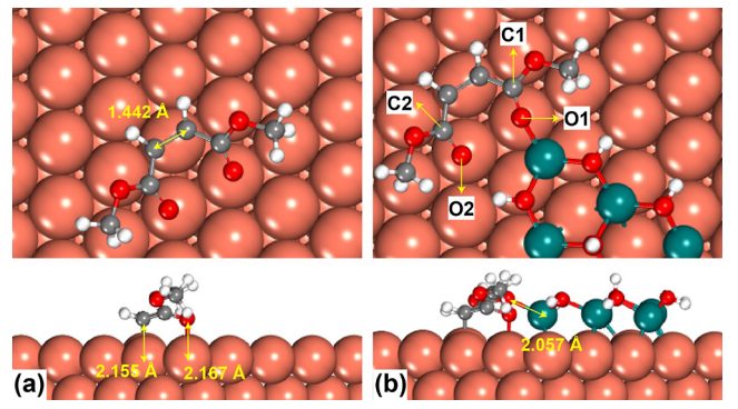 天津大學(xué)余英哲，最新ACS Catalysis！
