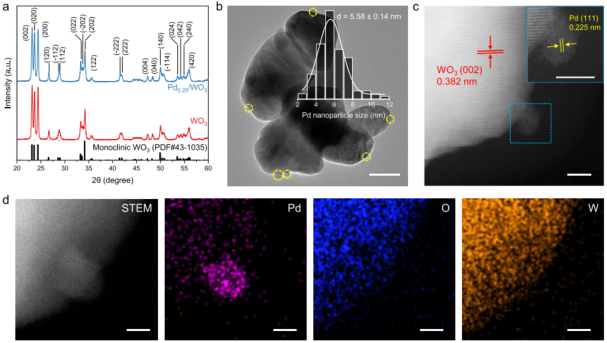 2023新晉中科院院士，最新JACS！
