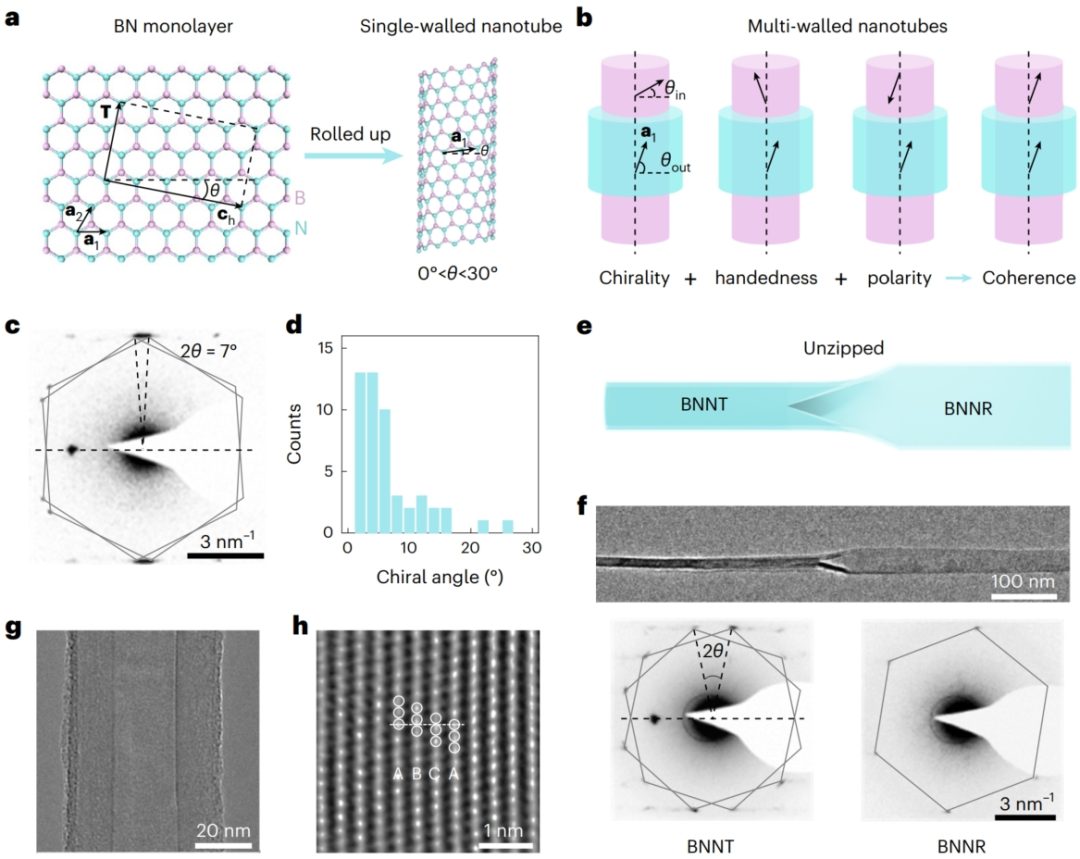 北京大學(xué)，新發(fā)Nature Nanotechnology！