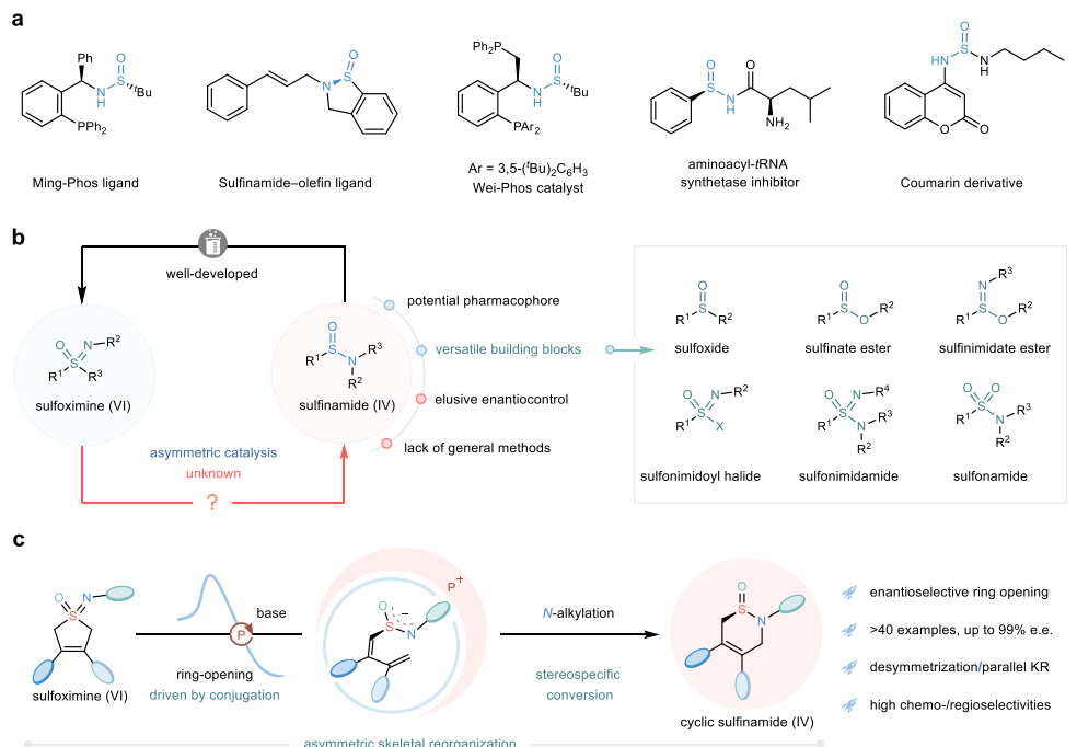 四川大學，最新Nature子刊！