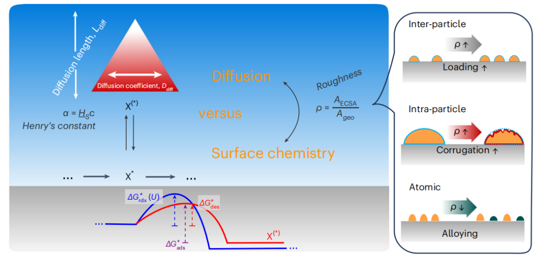 德國馬普所，重磅Nature Catalysis！