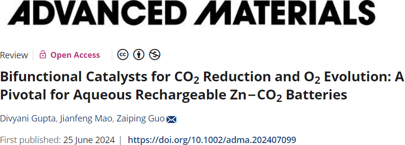 郭再萍院士，最新AM：水系可充Zn-CO2電池的關(guān)鍵！