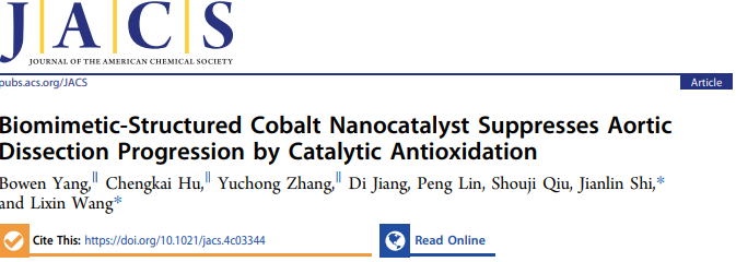 施劍林院士，最新JACS！