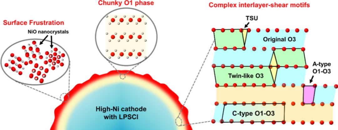 忻獲麟最新JACS：固態(tài)電池新認識，與液態(tài)電池完全不同！