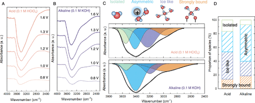 帝國理工Nature Catalysis + JACS：二氧化銥水氧化光譜電化學新發(fā)現