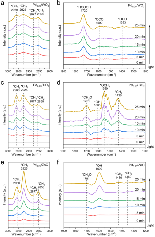 2023新晉中科院院士，最新JACS！