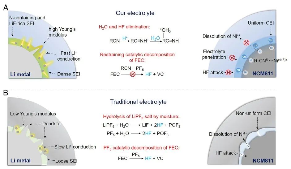 華科/物理所PNAS：氟代和氰基取代溶劑相結(jié)合的電解質(zhì)設(shè)計用于無負(fù)極鋰金屬電池